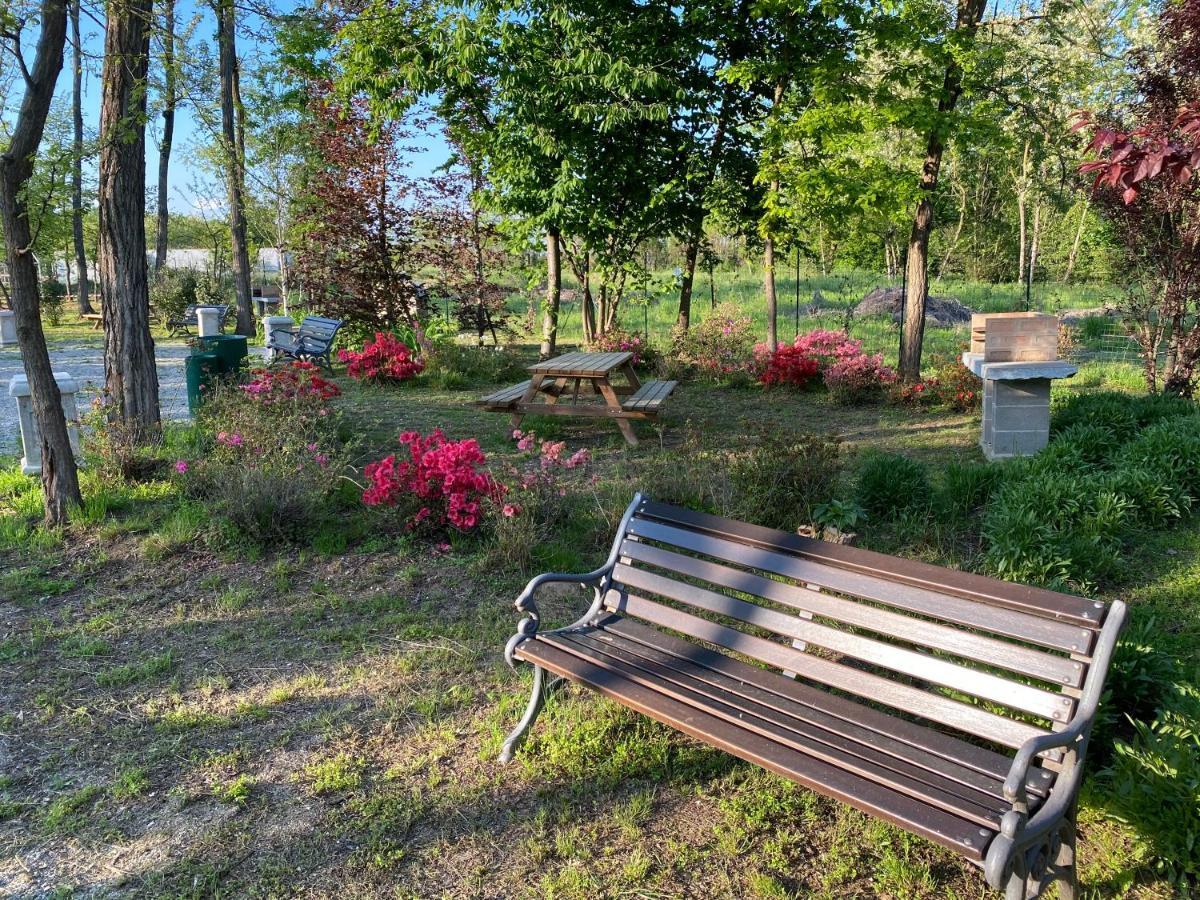 Oasilandia Bed & Breakfast Dorno Exterior foto