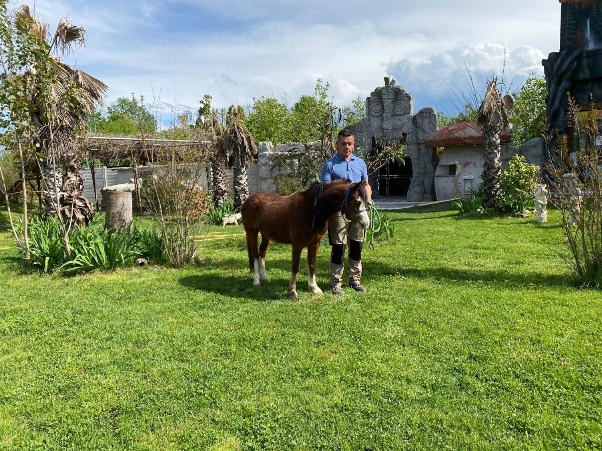 Oasilandia Bed & Breakfast Dorno Exterior foto